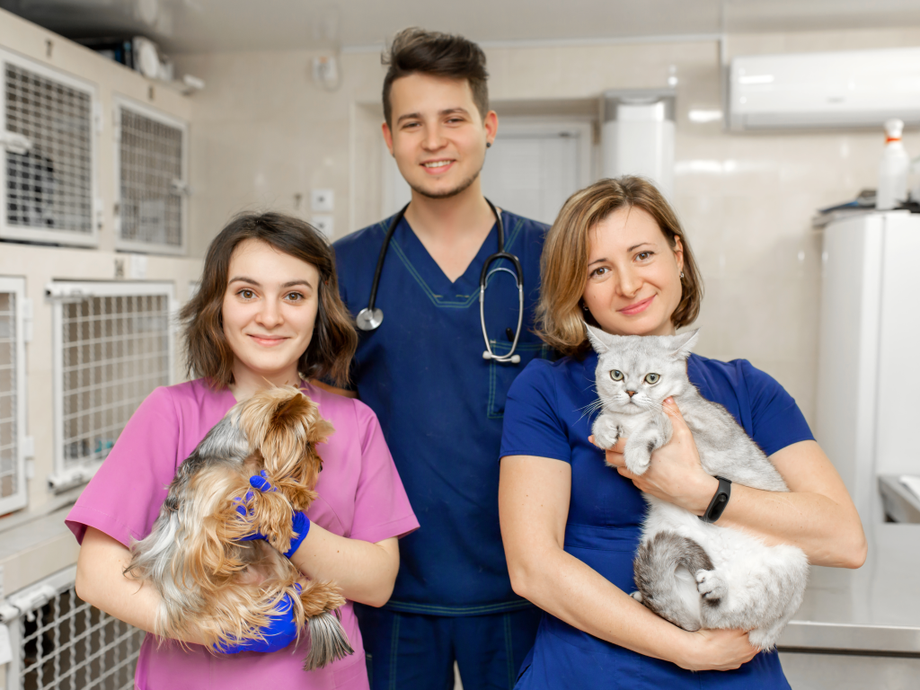 The Unsung Heroes: Beyond the Pizza Parties of Vet Tech Week